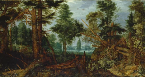 Bois après la tempête